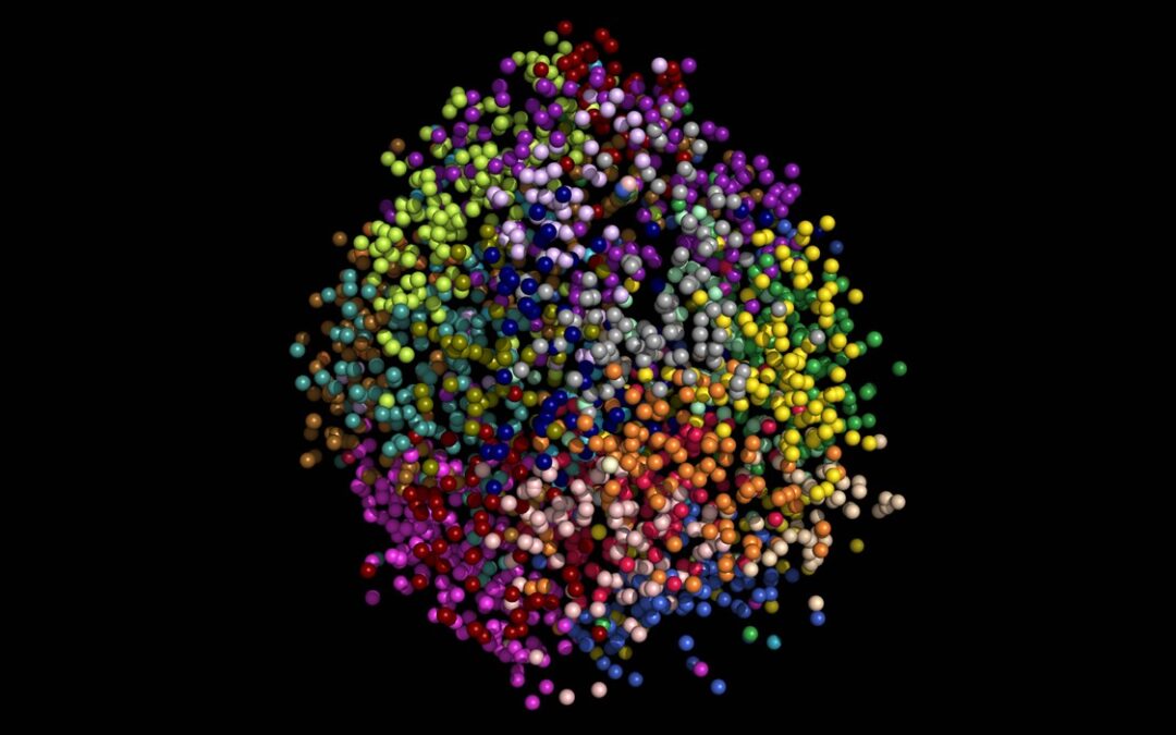 News feature: Revealing chromosome contours, one dot at a time
